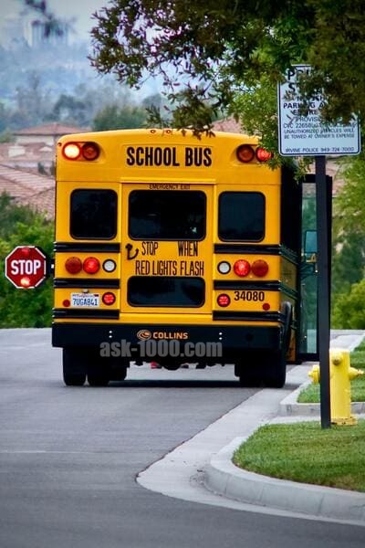 when does school start