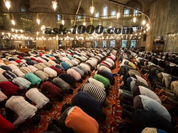 كم عدد ركعات التراويح ؟