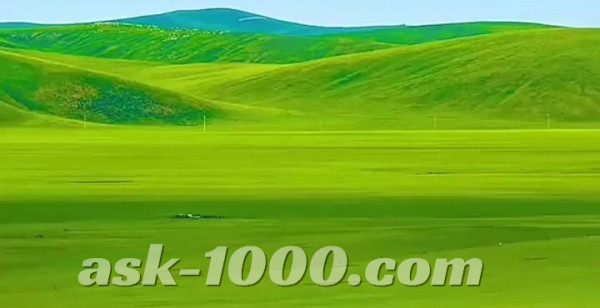 وإلى الأرض كيف سطحت