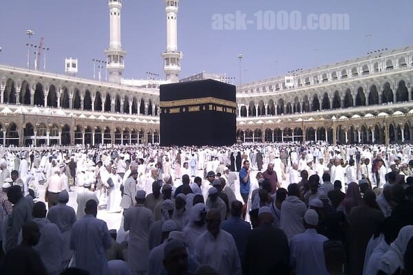 كيف احجز عمرة ؟